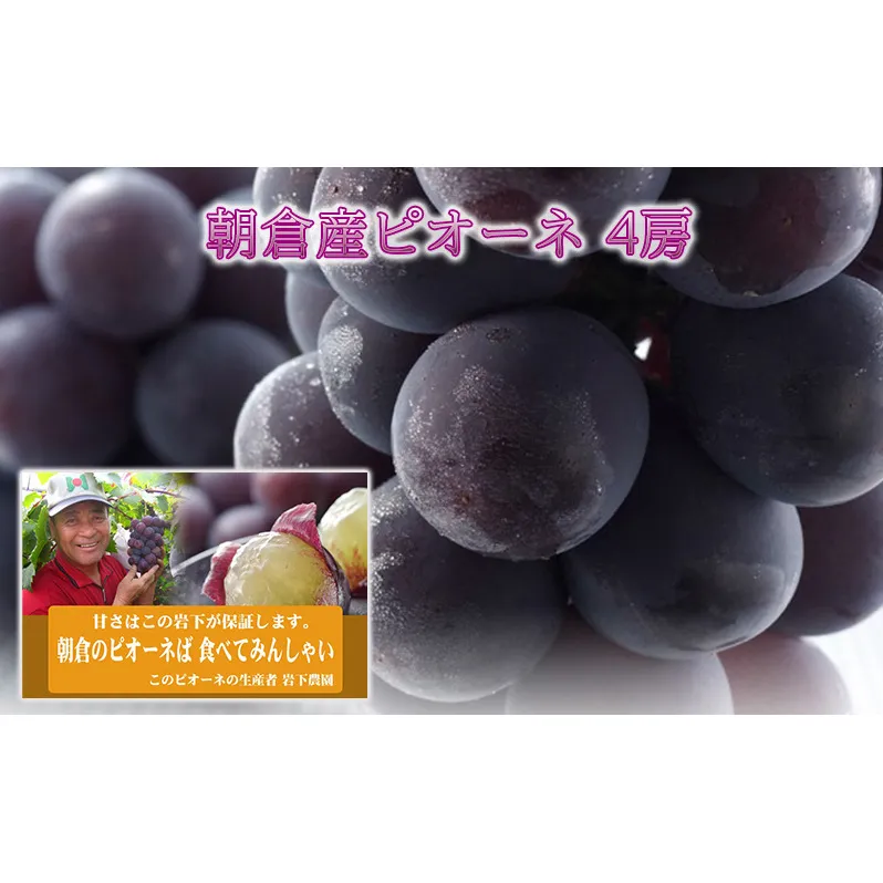 ぶどう ピオーネ 4房 化粧箱入り ブドウ 葡萄 デザート フルーツ 果物 (有)ティース 配送不可：離島