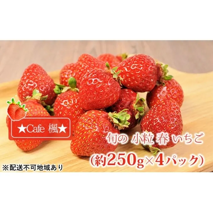 旬の 小粒 春 いちご（約250g×4パック）★Cafe 楓★【配送不可：北海道・東北・沖縄・離島】 果物類 苺 イチゴ 