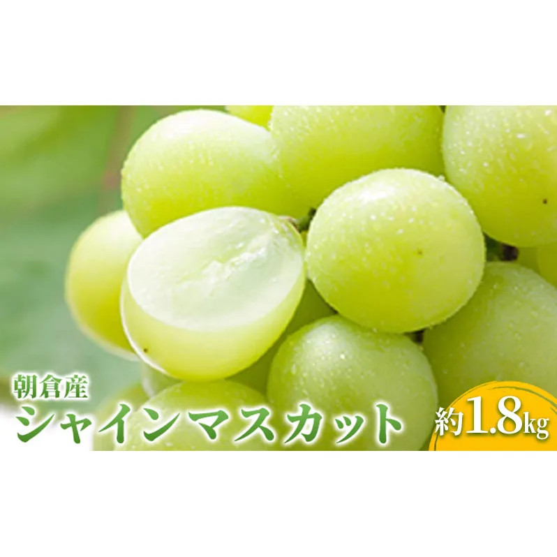 シャインマスカット マスカット ぶどう 1.8kg 2026年 発送 葡萄 ブドウ フルーツ 果物 くだもの デザート 筑前あさくら農協 配送不可 離島