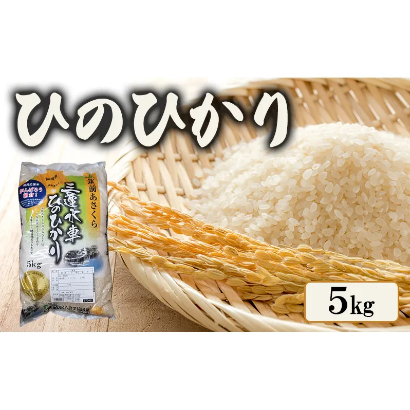 米 ひのひかり 5kg 筑前あさくら農協 お米 ヒノヒカリ