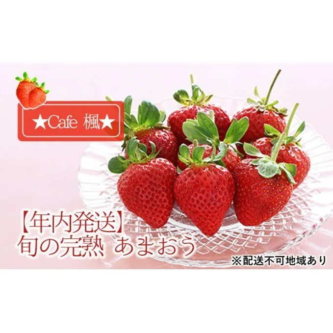 【年内発送】旬の完熟 あまおう ★Cafe 楓★【配送不可：北海道・東北・沖縄・離島】 果物類 いちご 苺 イチゴ 