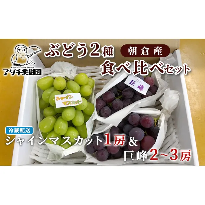 シャインマスカット 1房 巨峰 2～3房 ぶどう 食べ比べ セット 2種類 配送不可 離島 フルーツ 果物類 高級フルーツ 