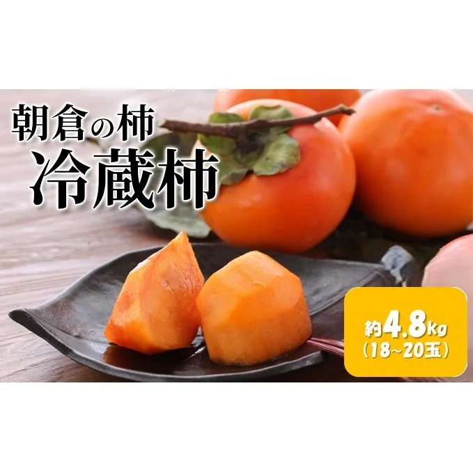 柿 冷蔵柿 4.8kg 筑前あさくら農協 配送不可 離島 果物類 かき