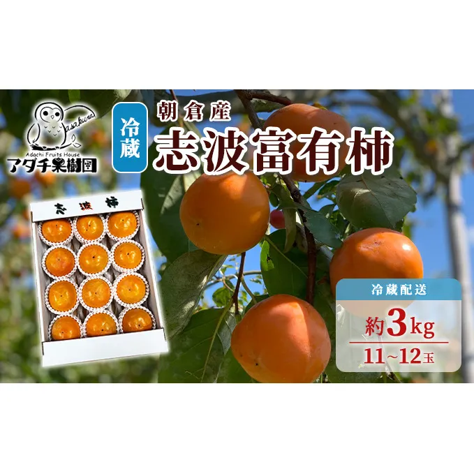 柿 志波 富有柿 冷蔵 約3kg 11～12玉 配送不可 離島 果物類 かき 