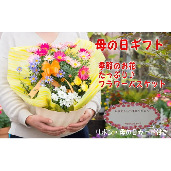 【母の日 ギフト】季節のフラワーバスケット【白鉢】（オンライン決済限定） 花 