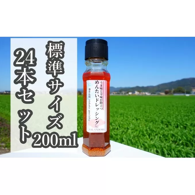 【-うま味と辛味が際立つ-めんたいドレッシング】（標準サイズ200ml）24本セット 調味料 