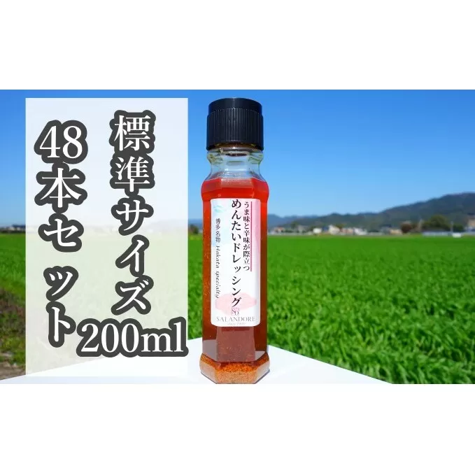 ★48本セット★【うま味と辛味が際立つめんたいドレッシング】（標準サイズ200ml） 調味料 