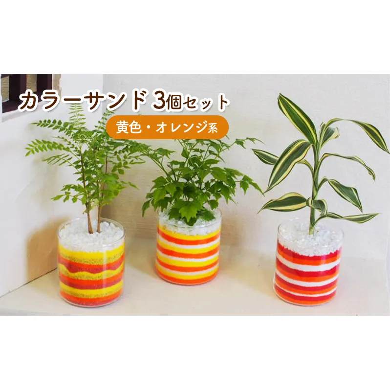 カラーサンド 3個 セット 黄色・オレンジ系 植物 インテリア ガーデン 