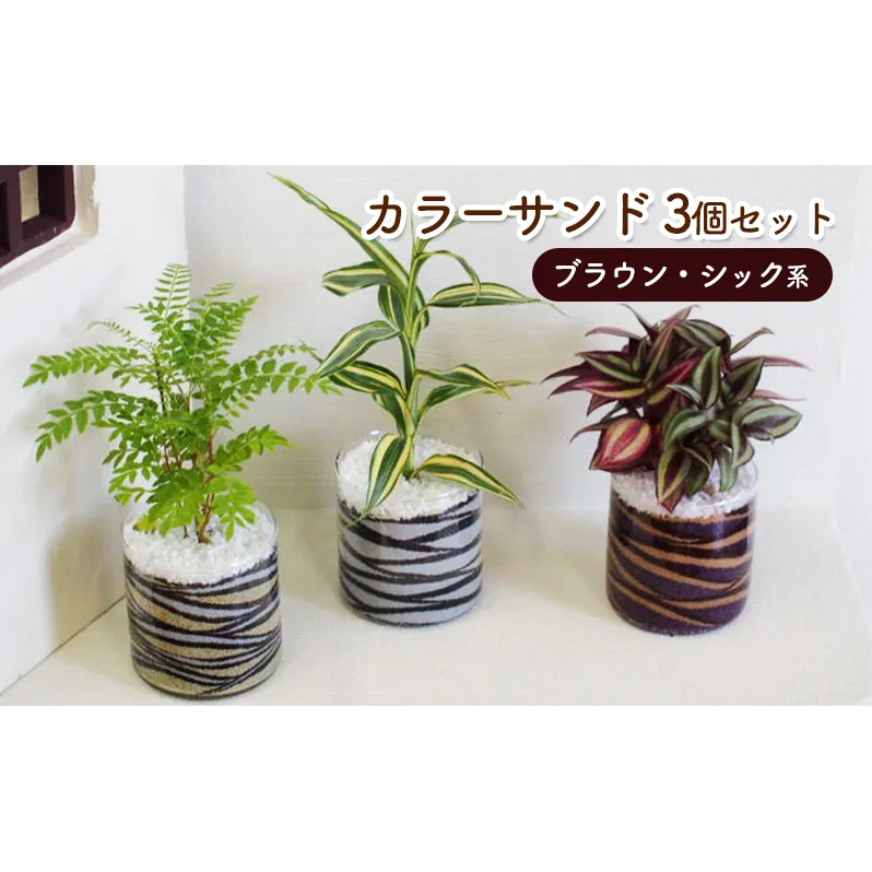 カラーサンド 3個 セット ブラウン・シック系 植物 インテリア ガーデン 