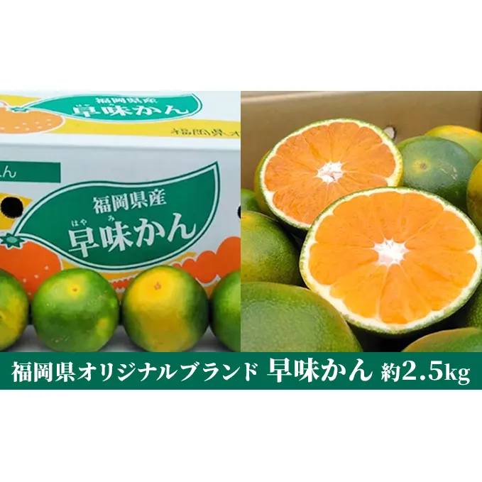 福岡限定 オリジナルブランド みかん「早味かん」約2kg【配送不可：離島】 果物類 柑橘類 フルーツ 