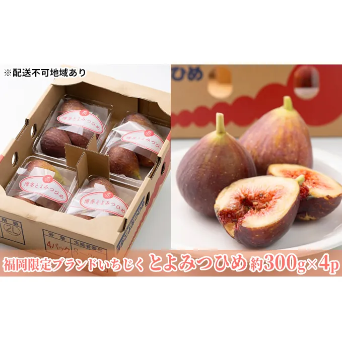 いちじく とよみつひめ 福岡限定 ブランド 約300g×4パック 配送不可 北海道 東北  沖縄 離島 果物詰合せ フルーツ 
