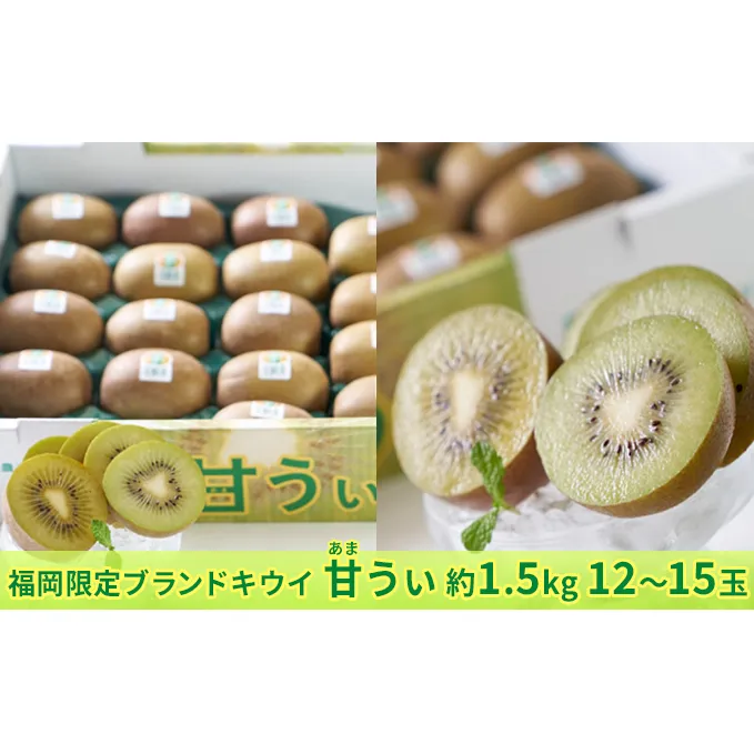 キウイ 甘うぃ あまうぃ 福岡限定 ブランド 約1.5kg箱 12～15玉 配送不可 離島 果物詰合せ フルーツ