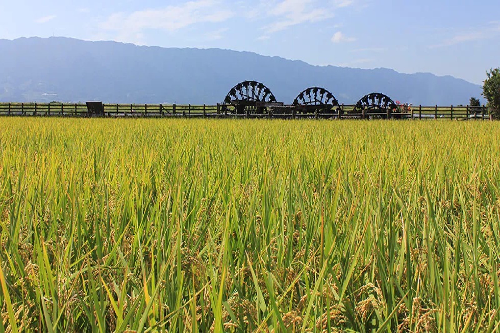 福岡県朝倉市