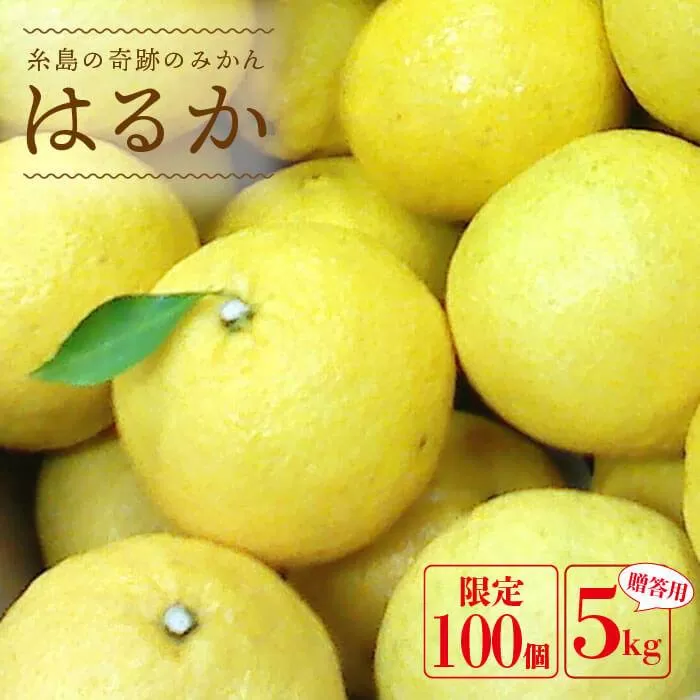 【先行予約】 爽やかに 甘い ！ 糸島産 「 はるか 」  贈答用 約 5kg 【2025年3月より順次発送】二丈赤米産直センター [ABB001]