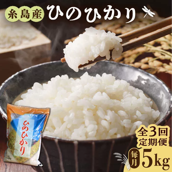 【全3回定期便】糸島産 ひのひかり 5kg×3回 糸島市 / 三島商店 [AIM008]