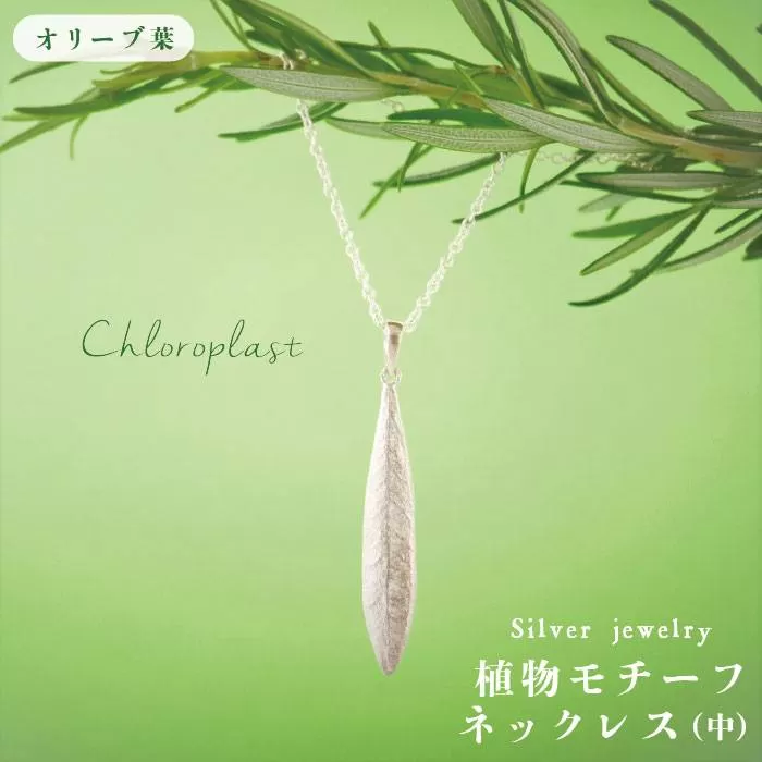 植物 モチーフ オリーブ 葉 ネックレス ( 中 )《糸島》【Chloroplast / クロロプラスト】 [ALF005]