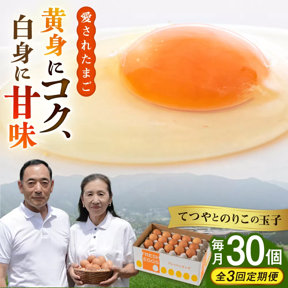【全3回定期便】【30個×3ヶ月】黄身にコク！白身に甘み！てつやとのりこの玉子 板垣ファーム [AWD006]
