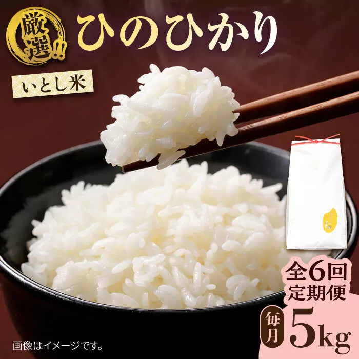 【全6回定期便】糸島産 いとし米 厳選ひのひかり 5kg 糸島市 / 三島商店 [AIM025]