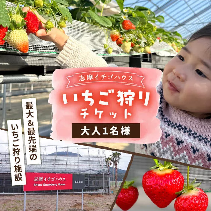 【志摩イチゴハウス】いちご狩り チケット （ 大人 1名様 分 ） 糸島市 / 株式会社 糸島農園 [APM001]