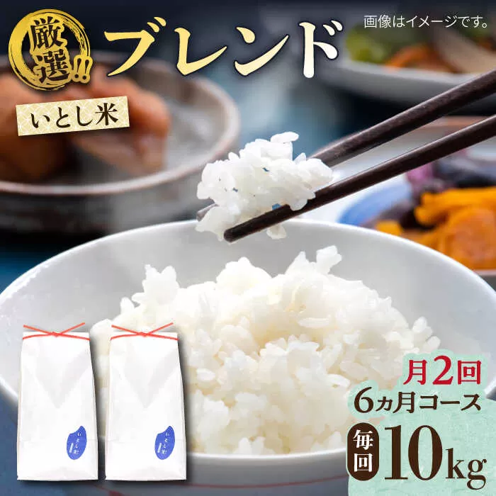 【月2回お届け】【全12回定期便】いとし米 厳選ブレンド 10kg 6ヶ月コース(糸島産) 糸島市 / 三島商店 [AIM060]