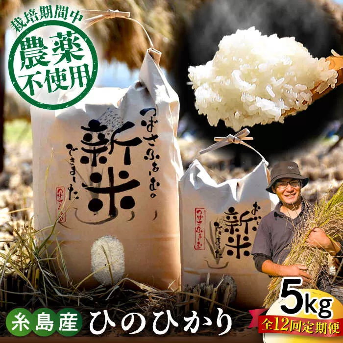 【全12回定期便】 糸島産 雷山のふもとの米 農薬不使用 5kg 糸島市 / ツバサファーム [ANI005] 白米 玄米