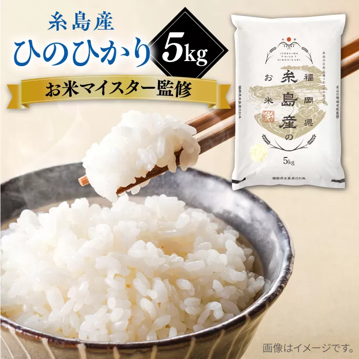 【こだわり精米】【令和6年産】 糸島産 ひのひかり 5kg 糸島市 / RCF 米 お米マイスター [AVM002]