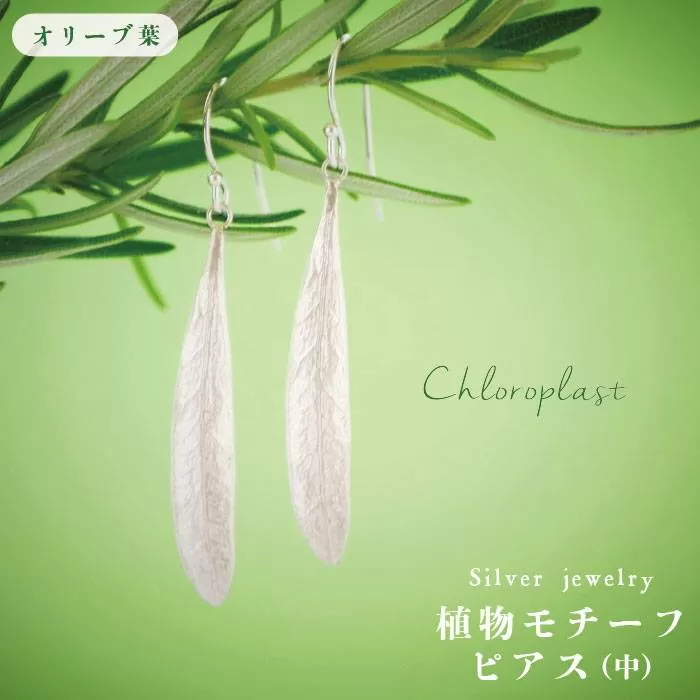 植物 モチーフ オリーブ 葉 ピアス ( 中 )《糸島》【Chloroplast / クロロプラスト】 [ALF004]