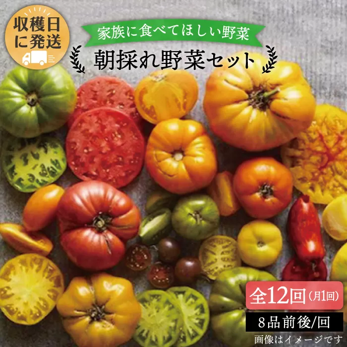 【全12回定期便】【福岡県糸島産】朝採れ 野菜 セット (8品前後) 《糸島》【オーガニックナガミツファーム】	[AGE012]