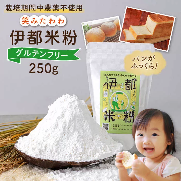 伊都 米粉 笑みたわわ 250g 糸島市 / フルタク [AHN006] グルテンフリー 米