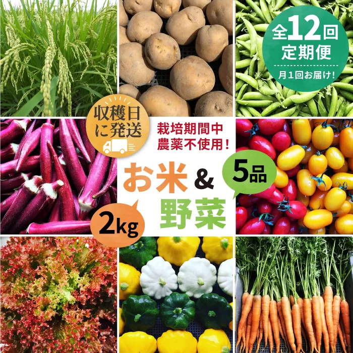 【全12回定期便】【☆畑直送☆栽培期間中農薬不使用！】お 米 2kg & 野菜 5品 の セット 糸島市 / オーガニックナガミツファーム 	[AGE038]