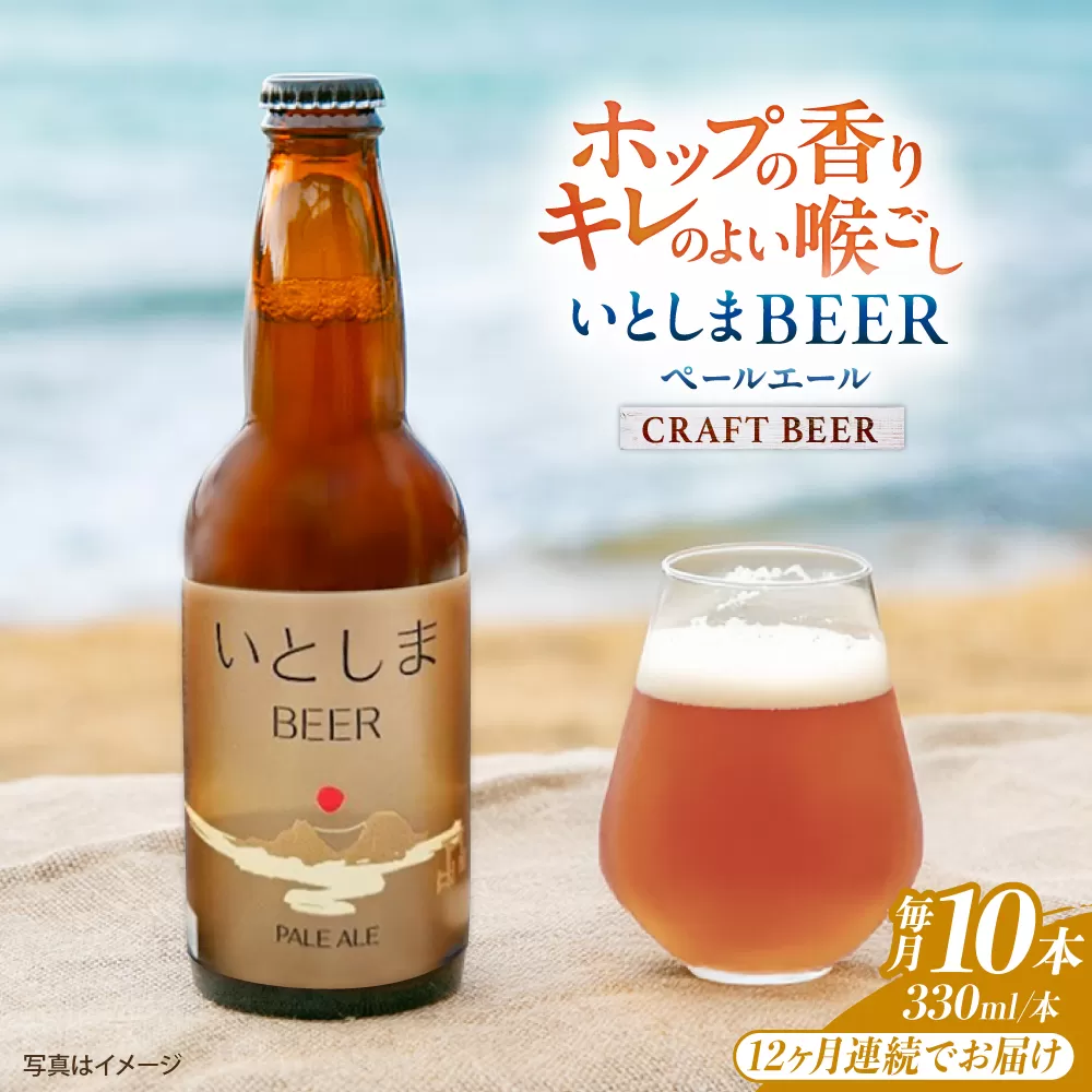 【全12回定期便】いとしまBEER (ペールエール) 330ml×10本 糸島市 / 蔵屋 クラフトビール [AUA058]