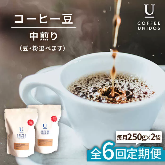 【全6回定期便】中煎り コーヒー 豆 ウニドスブレンド 250g × 2袋 ( 豆 ・ 粉 選べます ) 糸島市 / COFFEE UNIDOS [AQF022]