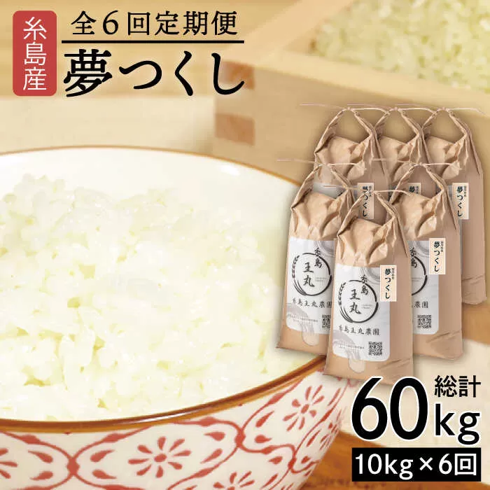 【全6回定期便】 糸島産 夢つくし 10kg×6回（月1回）　糸島市 / 糸島王丸農園 ( 谷口汰一 )【いとしまごころ】[AAZ007]