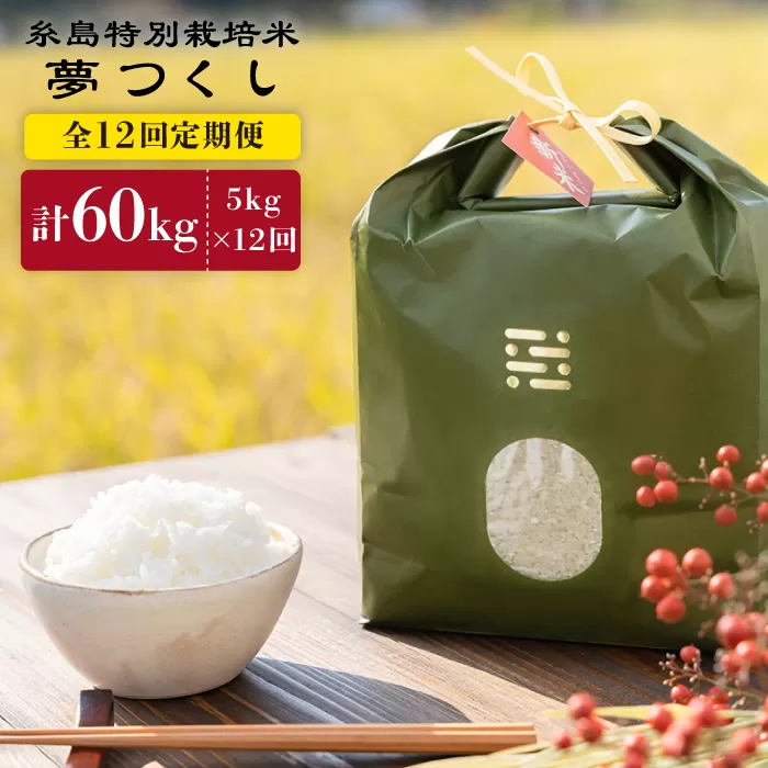 【全12回定期便】とくべつの中のとくべつ 糸島 特別栽培米 5kg （ 夢つくし ） 糸島市 / itoshimacco / 株式会社やました [ARJ028]