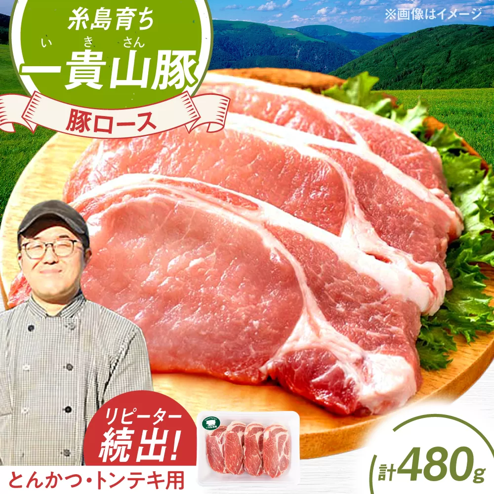 一貴山豚 ロースとんかつ・トンテキ用 計480g(120g×4枚) 糸島市 / いきさん牧場 豚肉 [AGB030] 豚肉 豚 ブランド豚 一貴山豚 ポーク ロース 生姜炒め ポークジンジャー
