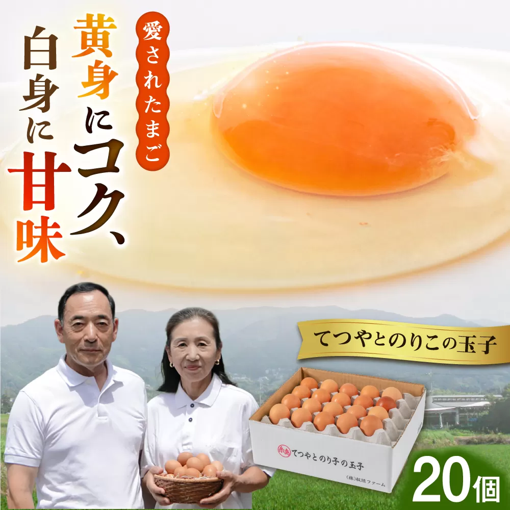 てつやとのりこの玉子 [ 20個 ] 糸島市 / 板垣ファーム 卵 たまご 鶏卵 