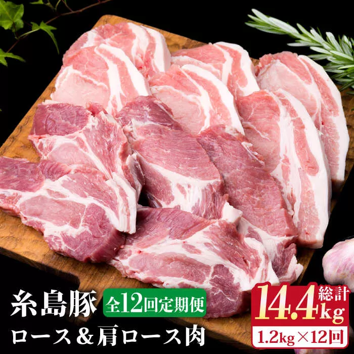 【全12回定期便】糸島豚ロース肉6枚 肩ロースカツ5枚 合計11枚セット《糸島》【糸島ミートデリ工房】 [ACA231]