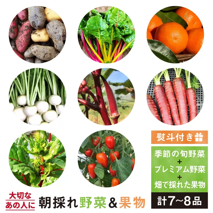  【贈答用】無農薬野菜セット＋果物（8品前後）《糸島》【オーガニックナガミツファーム】 	[AGE022]