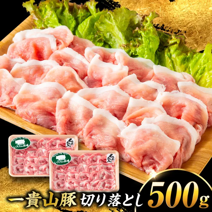 【選べる！冷凍配送 冷蔵配送】一貴山豚 切り落とし 計500g(250g×2p)  糸島市 / いきさん牧場 豚肉 [AGB056]