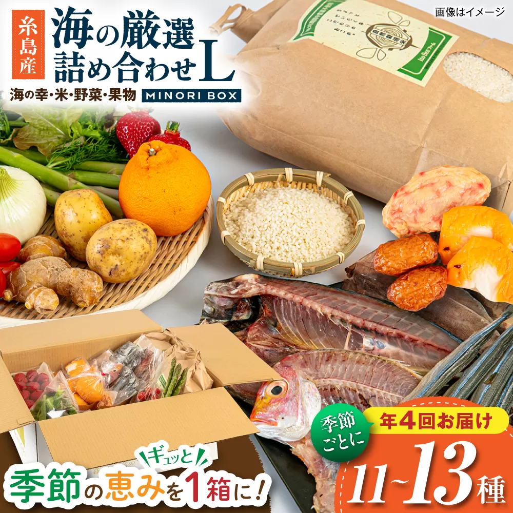 【全4回定期便】糸島産 魚 米 野菜 果物 厳選詰め合わせ MINORI BOX Lサイズ【季節ごとに年4回お届け】　糸島市 / emma.Inc / 米 魚 野菜 果物 詰め合わせ [AOP006]
