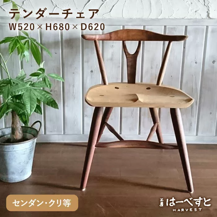 テンダーチェア 糸島市 / 工房はーべすと [AYA061] 椅子 家具