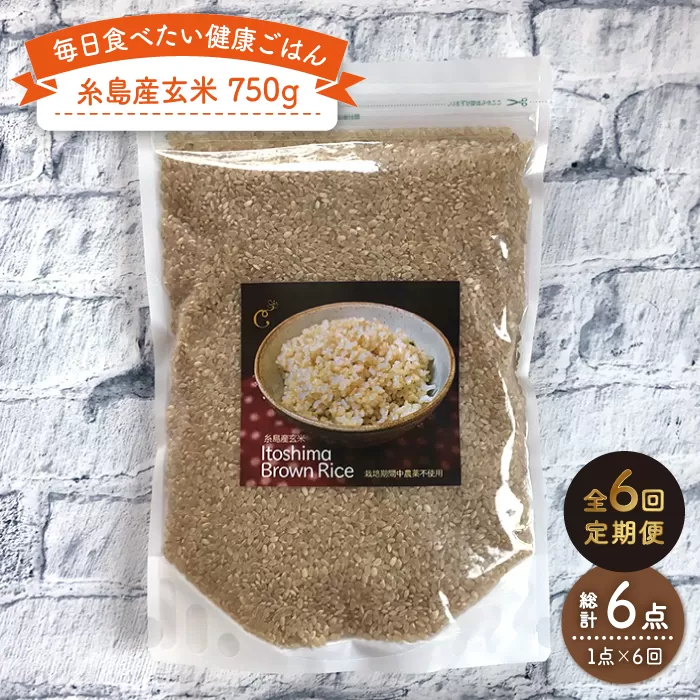 【 全6回 定期便 】 糸島産 玄米 《糸島》 【Carna】 [ALA045]