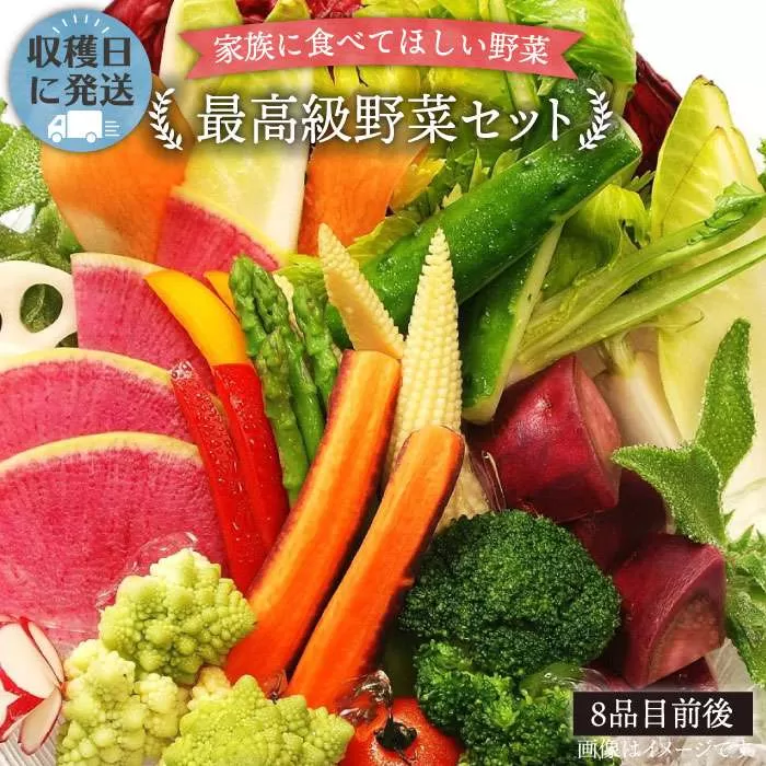【 栽培期間中農薬 ・ 化学肥料 不使用 】こだわり 高級 野菜 セット《糸島》【オーガニックナガミツファーム】[AGE014]