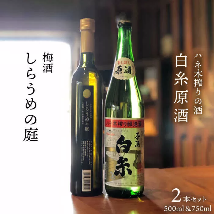 糸島 を 味わう セット ！ ハネ木 搾り の 酒 と 梅酒 の セット しらうめ「 香 」 《糸島》【白糸酒造】 [AVA003]