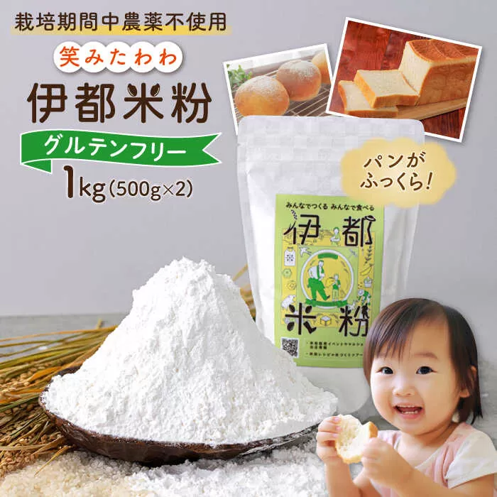 伊都 米粉 笑みたわわ 1kg 500g×2 糸島市 / フルタク [AHN008]  グルテンフリー 米