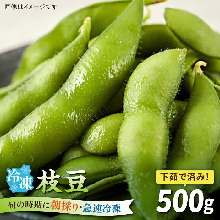枝豆 500g 冷凍 旬の時期に急速冷凍 【福岡県糸島産】 糸島市 / オーガニックナガミツファーム 野菜 えだまめ [AGE042]