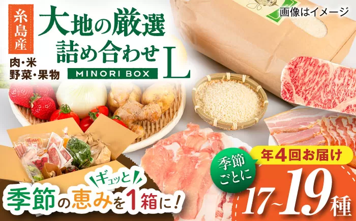 【全4回定期便】糸島産 肉 米 野菜 果物 厳選詰め合わせ MINORI BOX Lサイズ【季節ごとに年4回お届け】 糸島市 / emma.Inc / 米 肉 野菜 果物 詰め合わせ [AOP003] 米 こめ 肉 にく 野菜 やさい 果物 くだもの 糸島 詰め合わせ MINORI