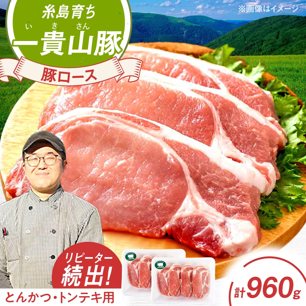 一貴山豚 ロースとんかつ・トンテキ用 計960g(120g×8枚) 糸島市 / いきさん牧場 豚肉 [AGB031] 豚肉 豚 ブランド豚 一貴山豚 ポーク ロース 生姜炒め ポークジンジャー