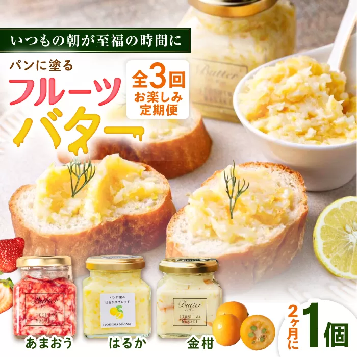 【全3回定期便/奇数月】お楽しみ定期便 フルーツバター大1個 糸島市 / 糸島正キ ジャム クリーム 果物 [AQA065]