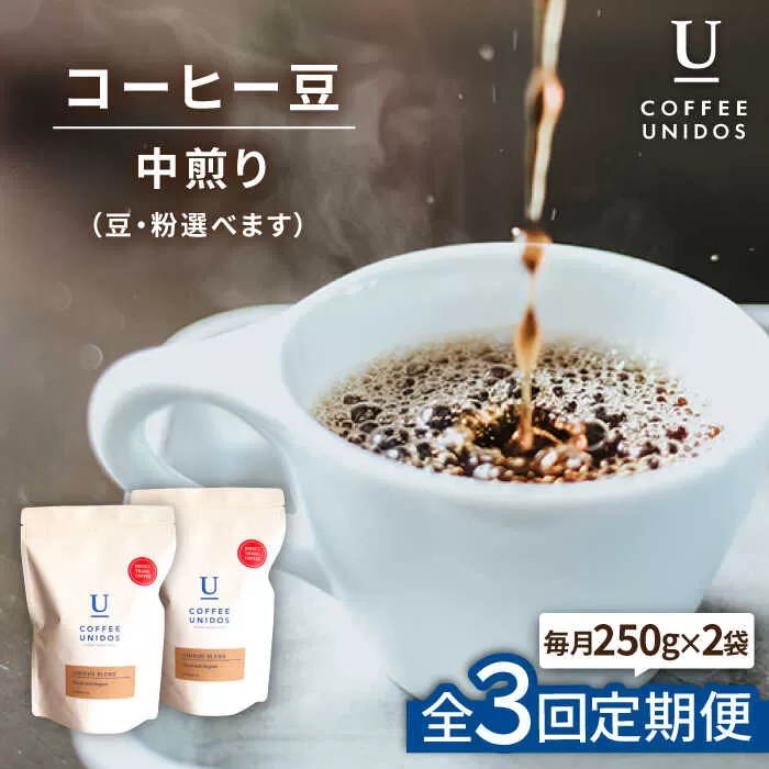 【全3回定期便】中煎り コーヒー 豆 ウニドスブレンド 250g × 2袋 ( 豆 ・ 粉 選べます ) 糸島市 / COFFEE UNIDOS [AQF021]